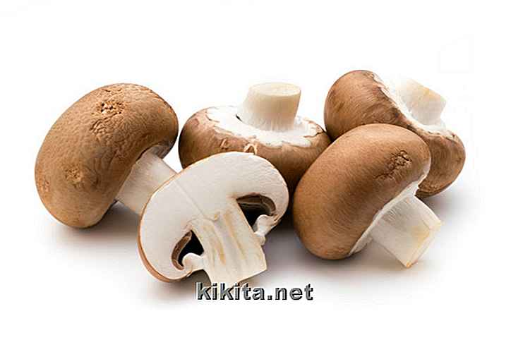 12 gezondheidsvoordelen van het eten van champignons