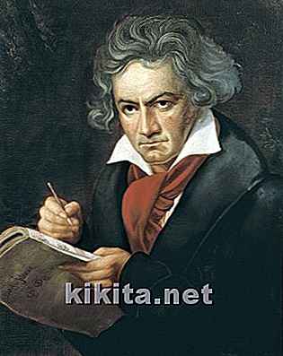 Un battement de coeur irrégulier a-t-il fait de Beethoven une légende de la musique?