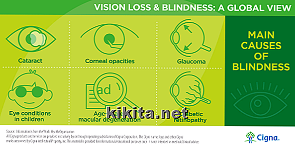 Infografía: una visión global de la visión y la ceguera