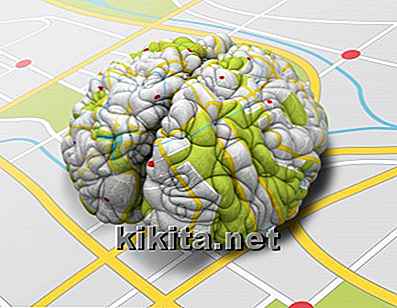Premio Nobel conferito agli scienziati che hanno scoperto il cervello "Sistema GPS"