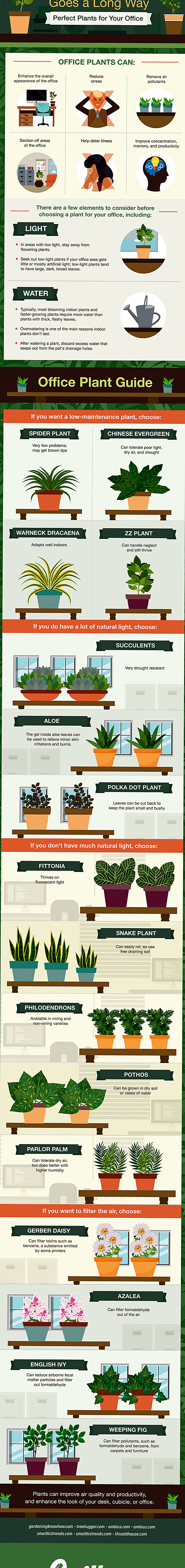 Infografik: Wie Office-freundliche Pflanzen Stress reduzieren und Krankheit abhalten