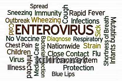 Ce que les parents devraient savoir à propos de l'entérovirus D68